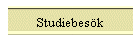 Studiebesök