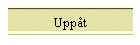 Upp�t